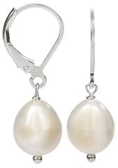 Sidabriniai auskarai moterims JwL Luxury Pearls JL0148 цена и информация | Серьги | pigu.lt