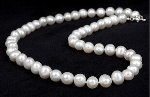 JwL Luxury Pearls Колье с настоящим белым жемчугом JL0264 цена и информация | Женское колье | pigu.lt