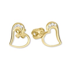 Auksiniai širdelės auskarai su kristalais moterims Brilio 239 001 00772 sBR0865 kaina ir informacija | Auskarai | pigu.lt