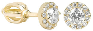 Auksiniai apvalūs auskarai moterims su skaidriais kristalais Brilio 239 001 00806 sBR0867 kaina ir informacija | Auskarai | pigu.lt