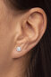 Auksiniai apvalūs auskarai moterims su skaidriu krištolu Brilio 239 001 00806 07 sBR0875 kaina ir informacija | Auskarai | pigu.lt