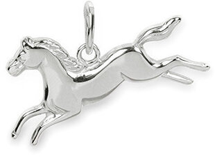 Brilio Silver Серебряный кулон в виде лошади 441001 00903 04 sBS0364 цена и информация | Украшения на шею | pigu.lt