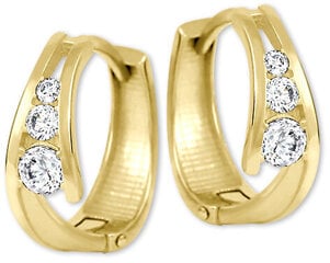 Auksiniai auskarai su cirkoniais moterims Brilio 239 001 00800 sBR1219 kaina ir informacija | Auskarai | pigu.lt