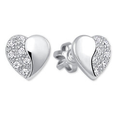 Brilio Silver Серебряные серьги Сердце 436 001 00432 04 sBS0580 цена и информация | Серьги | pigu.lt