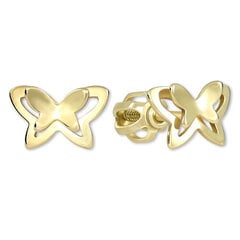 Drugelio auskaras iš geltono aukso moterims Brilio sBR1285 kaina ir informacija | Auskarai | pigu.lt