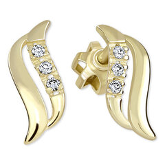 Auksiniai auskarai moterims Brilio 239 001 00519 sBR1298 kaina ir informacija | Auskarai | pigu.lt