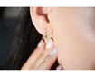 Auksiniai auskarai moterims Brilio 239 001 00880 07 sBR1335 kaina ir informacija | Auskarai | pigu.lt