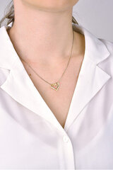 Brilio Золотой кулон сердце с кристаллами 249001 00354 цена и информация | Женское колье | pigu.lt