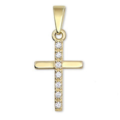 Brilio Подвеска Крест из желтого золота с кристаллами 249 001 00565 цена и информация | Женское колье | pigu.lt