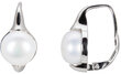 Plieniniai auskarai moterims JwL Luxury Pearls JL0460 sJL0460 цена и информация | Auskarai | pigu.lt