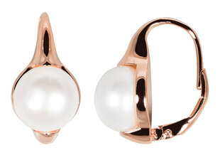 JwL Luxury Pearls Бронзовые серьги с настоящим жемчугом JL0533 sJL0533 цена и информация | Серьги | pigu.lt