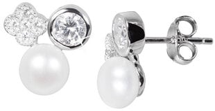 Auskarai moterims JwL Luxury Pearls sJL0539 kaina ir informacija | Auskarai | pigu.lt