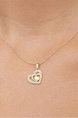 Brilio Золотой кулон сердце с кристаллами 249 001 00556 цена и информация | Женское колье | pigu.lt