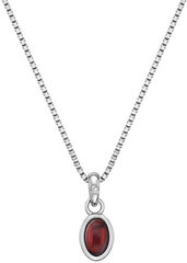 Hot Diamonds Серебряное колье для рожденных в январе Birthstone DP754 цена и информация | Украшения на шею | pigu.lt