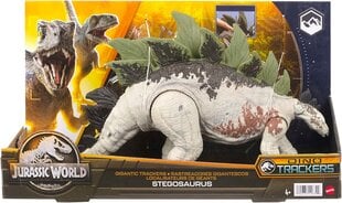 Dinozauro figūrėlė Stegosaurus Mattel Jurassic World HLP24 kaina ir informacija | Žaislai berniukams | pigu.lt