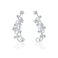 JwL Luxury Pearls Красивые продольные серьги с кристаллами JL0611 sJL0611 цена и информация | Серьги | pigu.lt