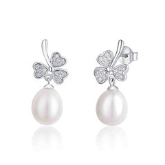 Plieniniai auskarai moterims JwL Luxury Pearls JL0618 sJL0618 kaina ir informacija | Auskarai | pigu.lt