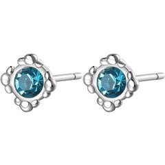 S`Agapõ Элегантные стальные серьги с голубыми кристаллами CLICK SCK33 sSA0778 цена и информация | Серьги | pigu.lt