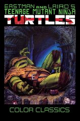 Teenage Mutant Ninja Turtles Color Classics, Volume 3 kaina ir informacija | Fantastinės, mistinės knygos | pigu.lt