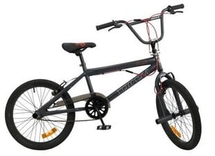 Детский велосипед Toimsa 543 20", черный цена и информация | Велосипеды | pigu.lt