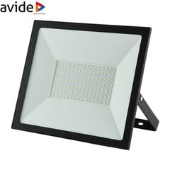 LED lauko prožektorius Avide 100W, 8000lm kaina ir informacija | Lauko šviestuvai | pigu.lt