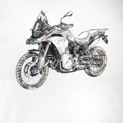 BMW F850 vīriešu motocikla t-krekls ar motociklu 1654-7 цена и информация | Мужские футболки | pigu.lt