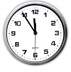 Классические настенные часы цена и информация | Часы | pigu.lt