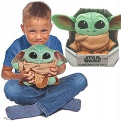 Плюшевая мягкая игрушка Baby Yoda Star Wars, 25см цена и информация | Мягкие игрушки | pigu.lt