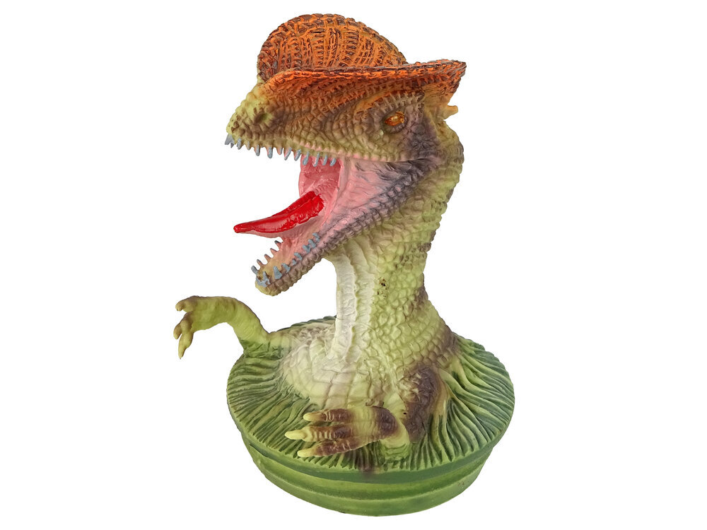 Figūrėlių rinkinys Dinozaurai Lean Toys, 12 vnt. цена и информация | Žaislai berniukams | pigu.lt