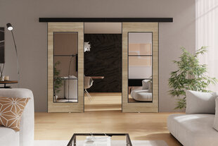 Двойные раздвижные двери с зеркалом  KIE73DUO/172 цена и информация | Шкафы | pigu.lt
