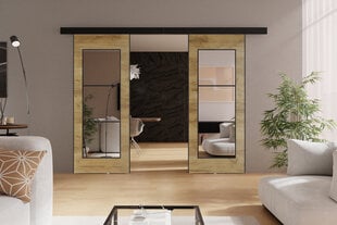 Двойные раздвижные двери с зеркалом  KIE74DUO/132 цена и информация | Шкафы | pigu.lt