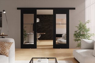 Dvigubos stumdomos durys su veidrodžiu KIE75DUO/192 kaina ir informacija | Spintos | pigu.lt