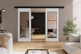 Двойные раздвижные двери с зеркалом  KIE76DUO/172 цена и информация | Шкафы | pigu.lt