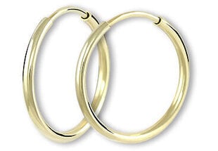Brilio Золотые серьги-кольца 231 001 00486 sBR1651 цена и информация | Серьги | pigu.lt