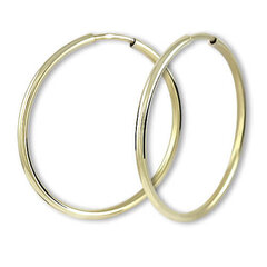 Auksiniai auskarai moterims Brilio sBR1650 kaina ir informacija | Auskarai | pigu.lt