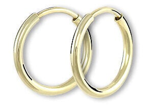 Auksiniai auskarai moterims Brilio sBR1652 kaina ir informacija | Auskarai | pigu.lt