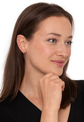 Auksiniai auskarai moterims Brilio sBR1652 kaina ir informacija | Auskarai | pigu.lt