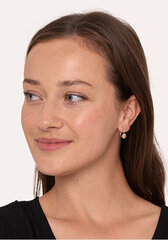 Auksiniai auskarai moterims Brilio sBR1686 kaina ir informacija | Auskarai | pigu.lt