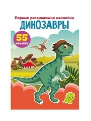   цена и информация | Развивающие книги | pigu.lt