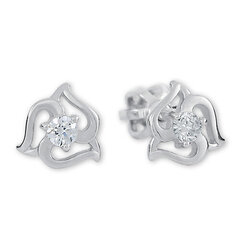 Brilio Silver Серебряные серьги с кристаллами 436 001 00568 04 sBS0832 цена и информация | Серьги | pigu.lt