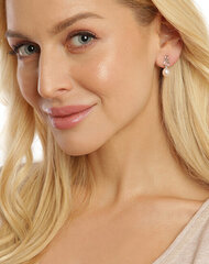 Plieniniai auskarai moterims JwL Luxury Pearls JL0683 sJL0683 kaina ir informacija | Auskarai | pigu.lt
