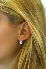 Silvego Серебряные серьги в цветочек с цирконами Swarovski SILVEGO31572W sSL3667 цена и информация | Серьги | pigu.lt