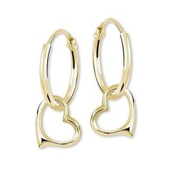 Geltono aukso auskarai moterims Brilio sBR2033 kaina ir informacija | Auskarai | pigu.lt