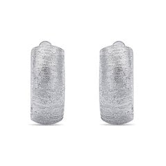 Brilio Silver Модные серебряные серьги EA275W sBS1425 цена и информация | Серьги | pigu.lt