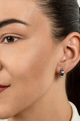 Bronziniai auskarai moterims Brilio Silver Circles EA499R sBS1815 kaina ir informacija | Auskarai | pigu.lt
