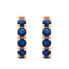 Brilio Silver Маленькие бронзовые кольца с голубыми цирконами EA481RB sBS2056 цена и информация | Серьги | pigu.lt