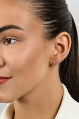 Blizgantys bronziniai auskarai moterims su cirkoniais Brilio Silver EA617R sBS2385 kaina ir informacija | Auskarai | pigu.lt