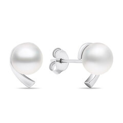 Sidabriniai auskarai su perlais moterims Brilio Silver EA595W sBS2410 kaina ir informacija | Auskarai | pigu.lt