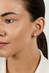 Paauksuoti sidabriniai auskarai moterims Brilio Silver EA595Y SBS2411 kaina ir informacija | Auskarai | pigu.lt
