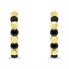 Brilio Silver Стильные позолоченные кольца с черными цирконами EA676YBC sBS2533 цена и информация | Серьги | pigu.lt